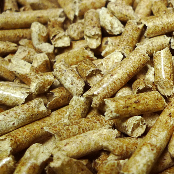 [問題] 膀胱炎該濕食還是處方飼料？